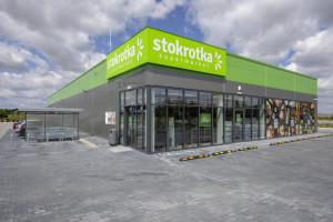 STOKROTKA MIGROLA